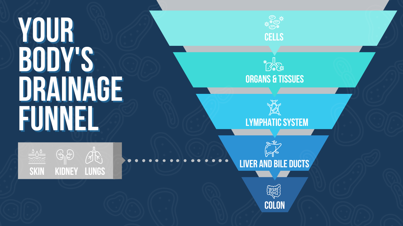 Your Drainage Funnel Process Street